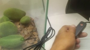 Светодиодный светильник для аквариума Barbus LED 079, 3 Вт, 3 режима