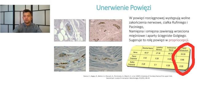Wprowadzenie do FM Michał Sternak смотреть онлайн