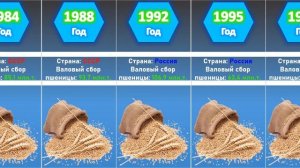 Сколько пшеницы производили в СССР и сколько производят в России