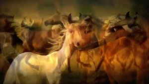 Красивый клип Природа 2  (720p).mp4