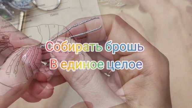 Приглашение на Мастер-Класс "Королевская Креветка" смотреть онлайн