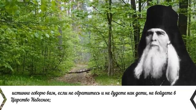 Евангелие дня с толкованием  20 августа 2022 года 90 псалом