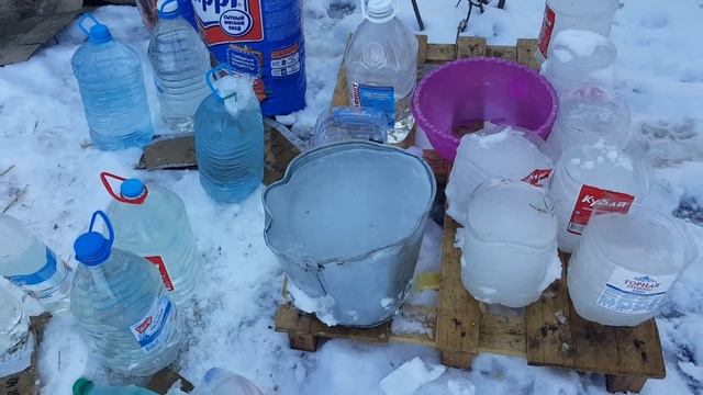 В приюте нет вода,света,газа. 100-животных-инвалидов голодат. смотреть онлайн