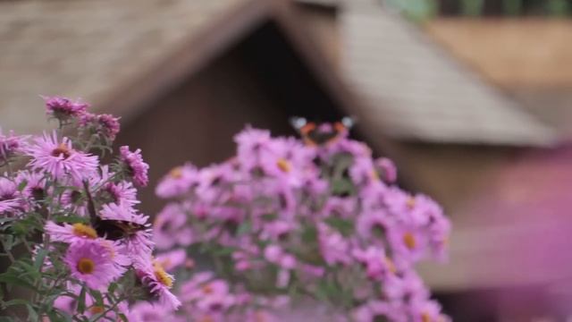 Спеша к угасающей жене, Георгий тихо подошёл к палате и услышал такое, отчего ноги подкосились. смотреть онлайн