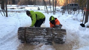 Holzfforma g660 vs stihl ms660