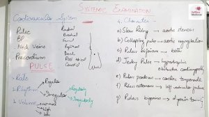 SYSTEMIC EXAMINATION part 2 CVS , PULSE in detail all things to remember