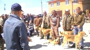 Выставка Русских Гончих