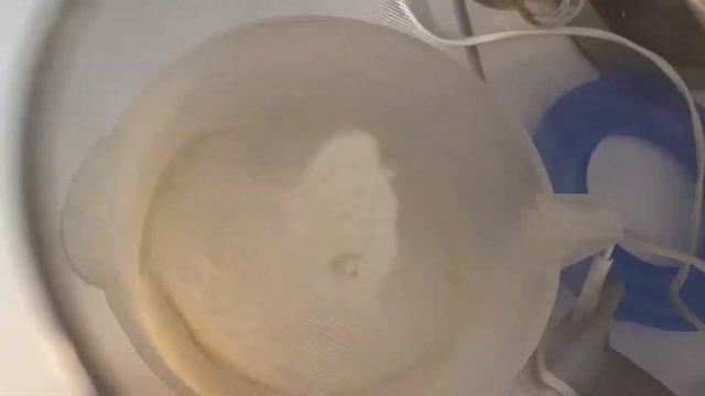 Пышные оладушки на дрожжах ?