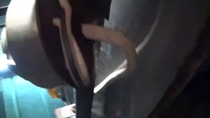 розетка для прицепа по Евростандарту