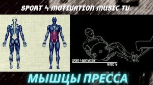 Боковые скручивания с блином от штанги для прокачки пресса. Проработка косых мышц.
