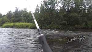 Хариус на спиннинг. Попали на жор!!! Клюет как с пулемета!!! 2020 г.