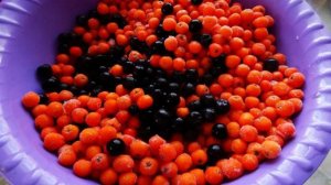 Варенье из рябины