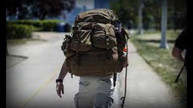 К нам лапы тянут ели. Автор: Ю. Аделунг, исп.: Т. Рехельс смотреть онлайн