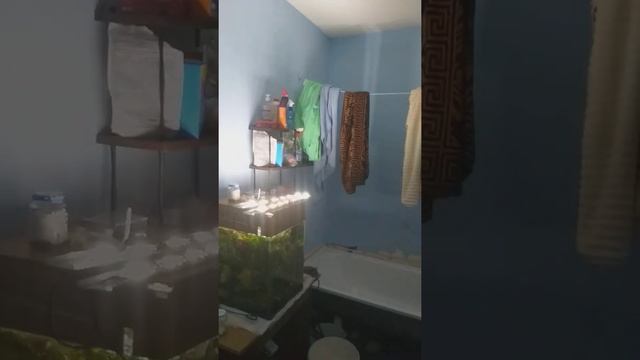 Новый свет для кубика смотреть онлайн