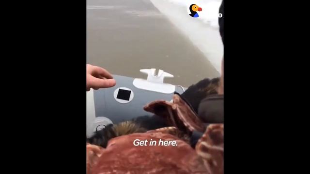 Что Находится Внутри МРТ? смотреть онлайн