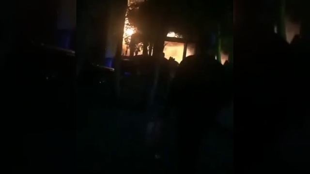 Баня Кедр
