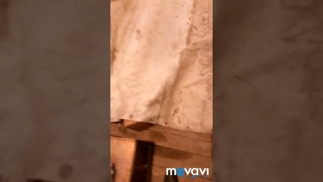 Шторка на ворота смотреть онлайн