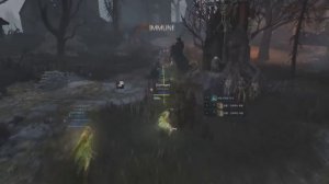 Black Desert Полный Гайд: Лучница - Билд / Экипировка. От и До.