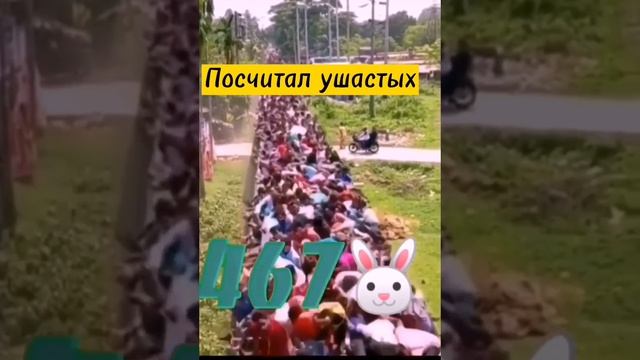 Сколько зайцев поместится на крыше поезда?