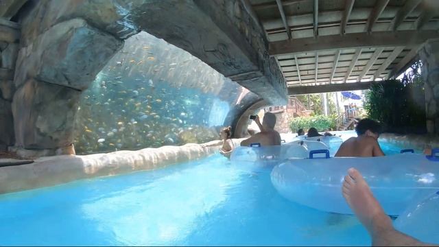 Поход в водный парк в Орландо флорида Aquatica Это было незабываемо смотреть онлайн