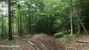 Оля случайно подслушала разговор мужа и свекрови и обомлела от их слов...