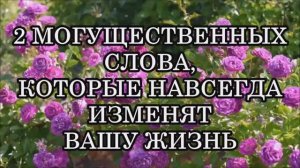 2 МОГУЩЕСТВЕННЫХ СЛОВА, КОТОРЫЕ НАВСЕГДА ИЗМЕНЯТ ВАШУ ЖИЗНЬ.