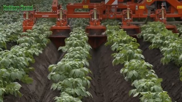 СУПЕР Технология выращивание КАРТОФЕЛЯ СТО ТОН С ОДНОГО ГЕКТАРА!!!! смотреть онлайн