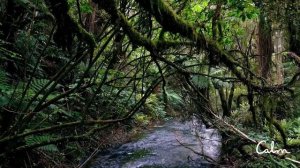 Успокаивающие звуки для сна