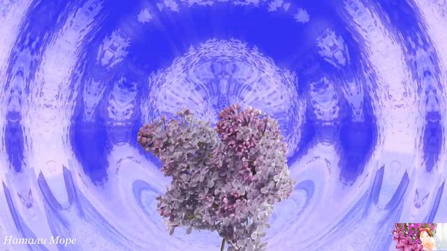 Цветы душистые сирени смотреть онлайн