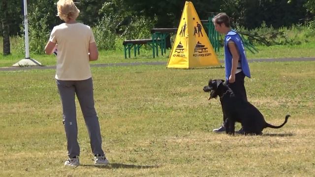 2022 IGP CACT Russia Knyazhevo 41 Timofeeva Ekaterina (62) and Law Hanno Veto (Riesenschnauzer) C84