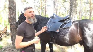 "Кавалерийское" седло. Краткий обзор и тест.