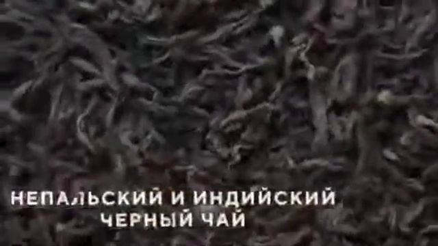 Чайный напиток Laplandia от Greenway смотреть онлайн