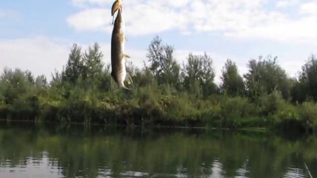 Позор на рыбалке смотреть онлайн