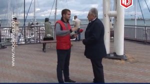 «Лошадей 20 тысяч в машины зажаты»