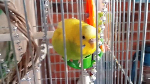 ВЛОГ: Меняю ПРОФЕССИЮ смотреть онлайн