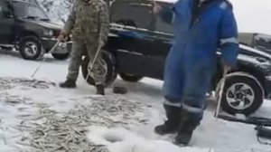 Как правильно ловить Корюшку