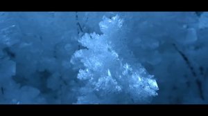 ОЙМЯКОН ПОЛЮС ХОЛОДА (ЯКУТИЯ)