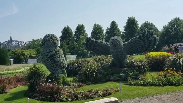 Огромная выставка скульптур из живых цветов