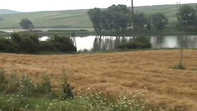 ВПУ24 Тракторист машиніст СГ виробництва