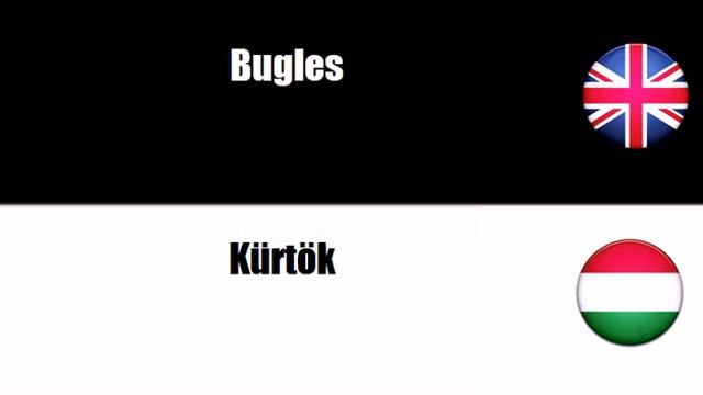 HUNGARIAN ENGLISH Rézfúvós hangszerek смотреть онлайн