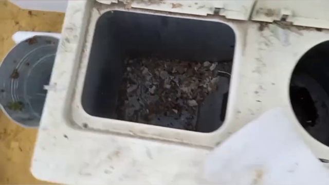 кормление червей картоном