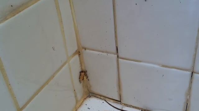 Командная работа смотреть онлайн