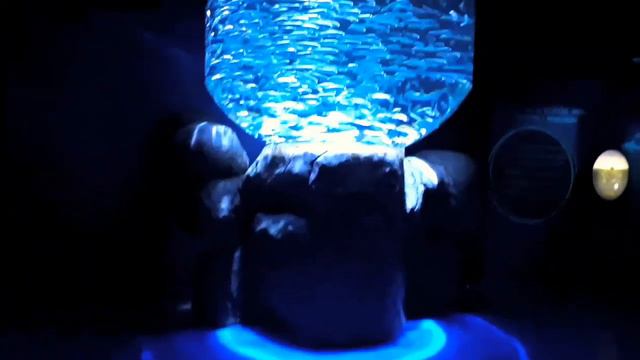 Nordsøen Oceanarium. Nordsøens Jægere. смотреть онлайн