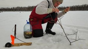 Трофейная щука напутала все снасти!