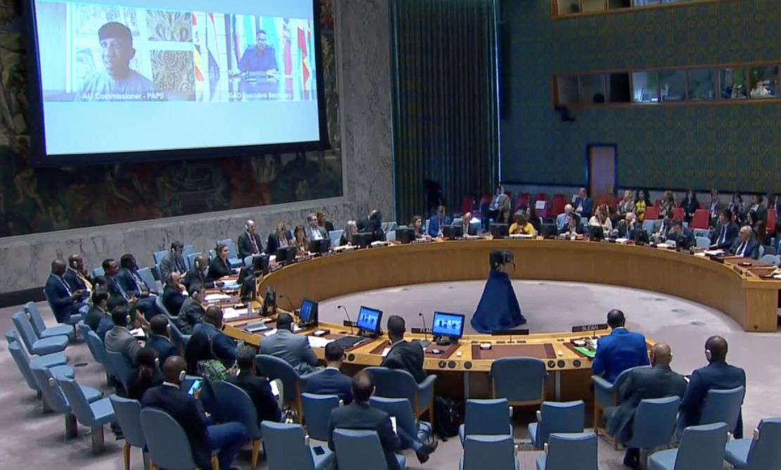 ? А.М.Евстигнеева в СБ ООН. Выступление по Судану (22.05.2023)