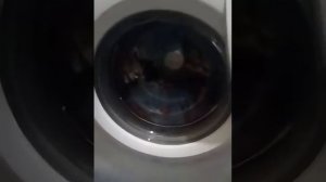 Скрипит машинка, скрежет барабана. почему???