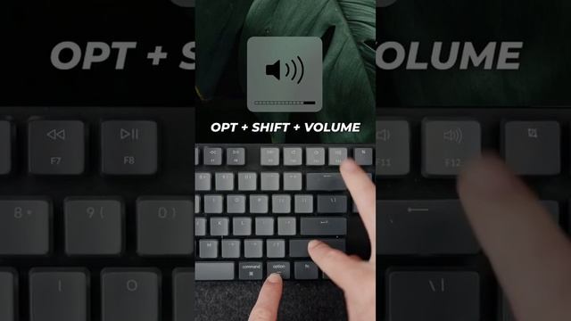 Keyboard shortkey u don’t know #macbook #trick #short #apple #tips #lifehacks #macbookpro #computer смотреть онлайн