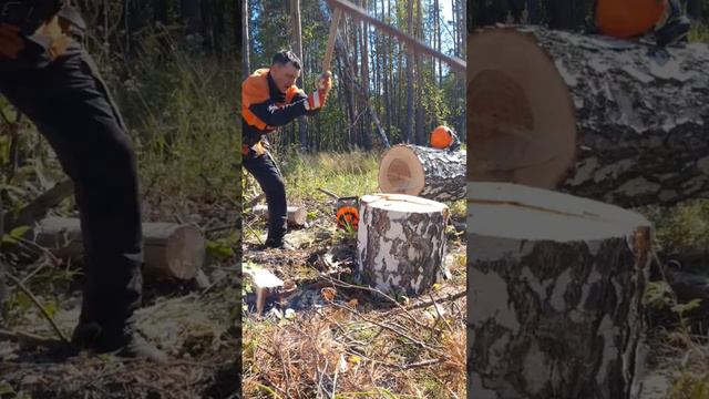 Сила есть - ума не надо😁 #stihl #logger #axe #power #survival #outdoors #nature #bushcraft