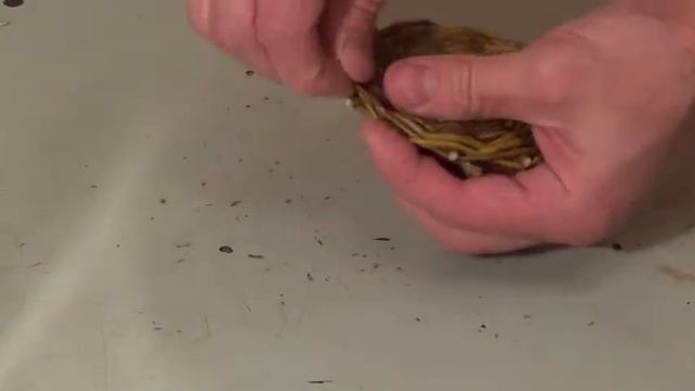 Донышко крупно смотреть онлайн