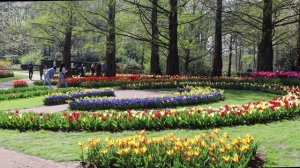 Весеннее цветение